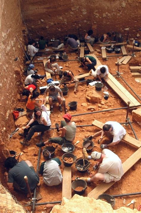 atapuerca entradas|Fundación Atapuerca